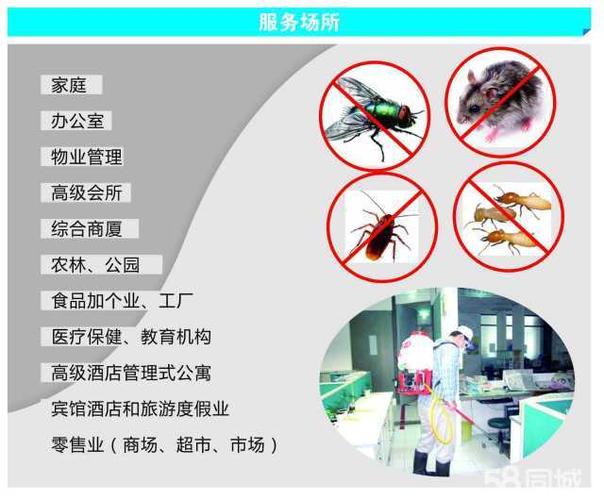 深圳杀虫灭鼠公司现分享除四害的规范