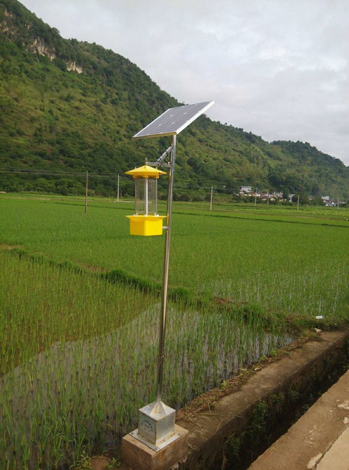 农业太阳能杀虫灯能减少农药使用,增加经济作物产量